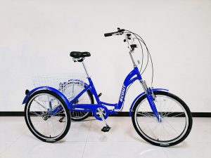 Blue tricycle
